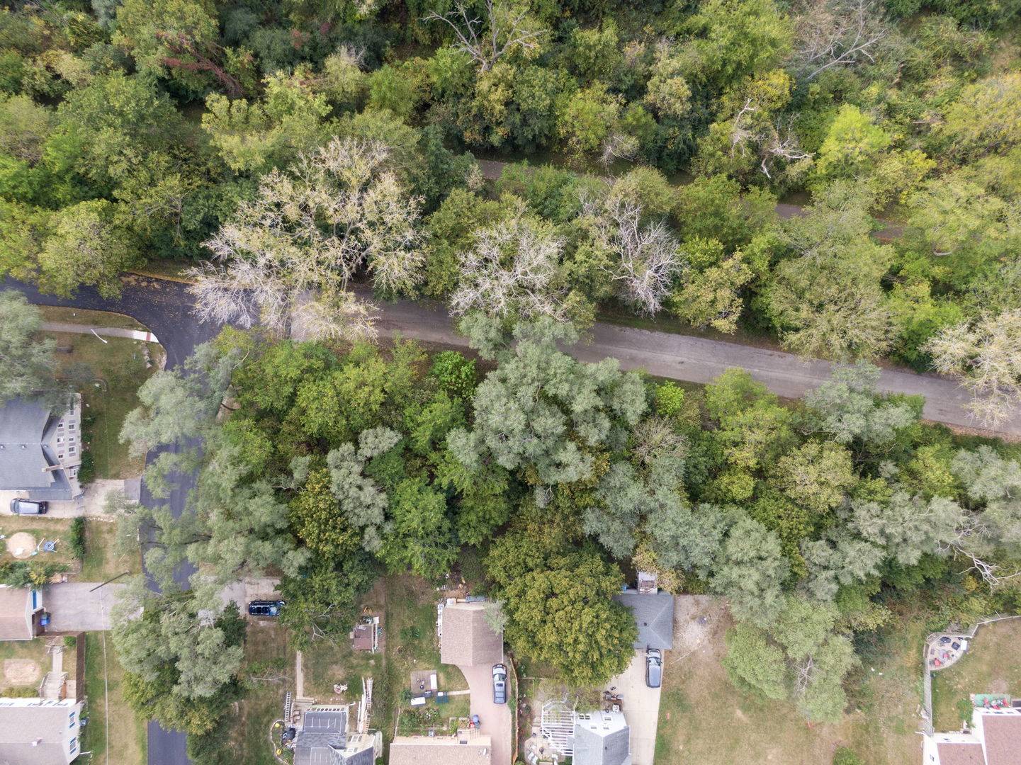 Lot 5-7 Cottage AVE, Carpentersville, IL 60110