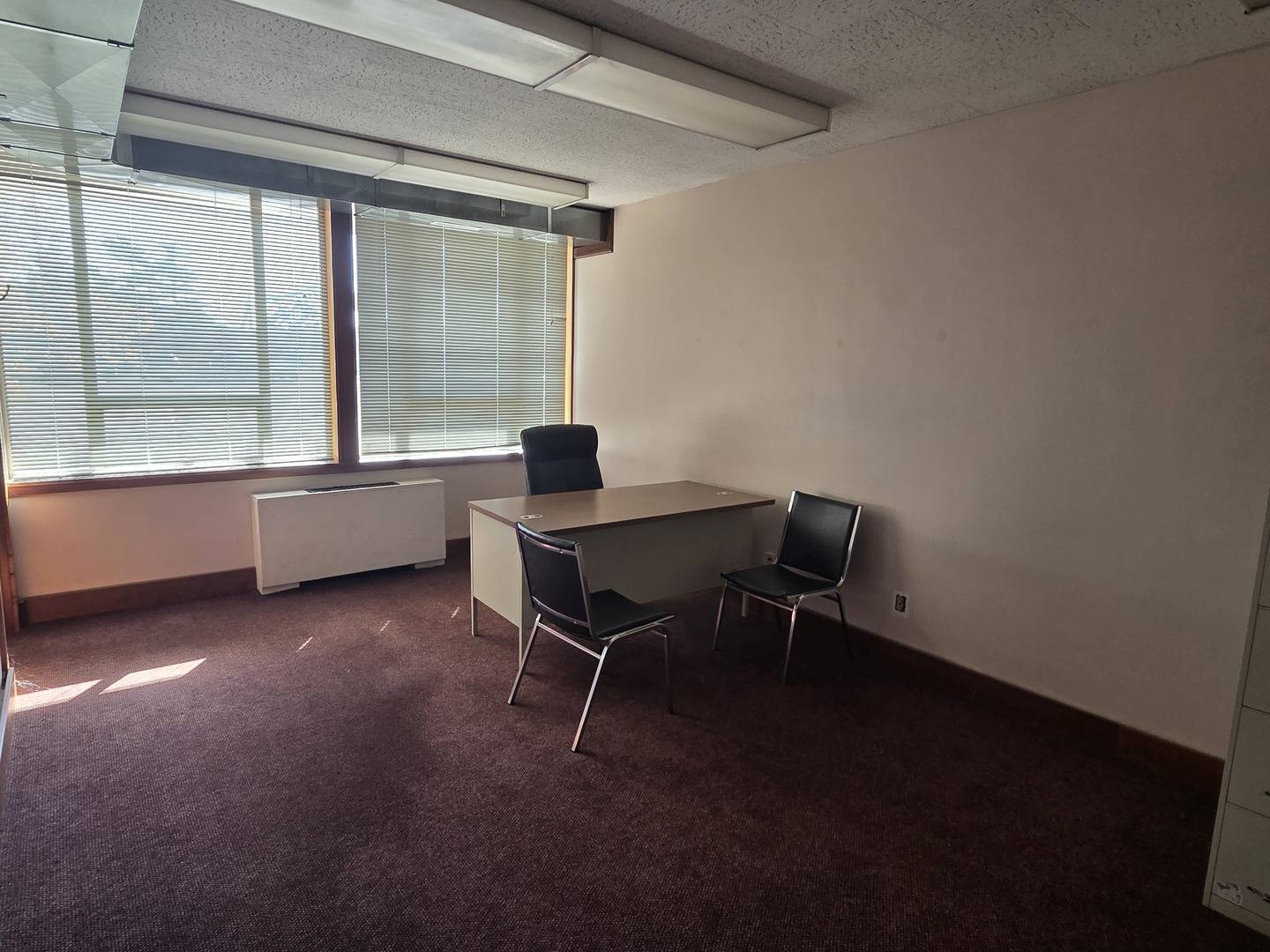 1400 W Anthony DR #102, Champaign, IL 61821