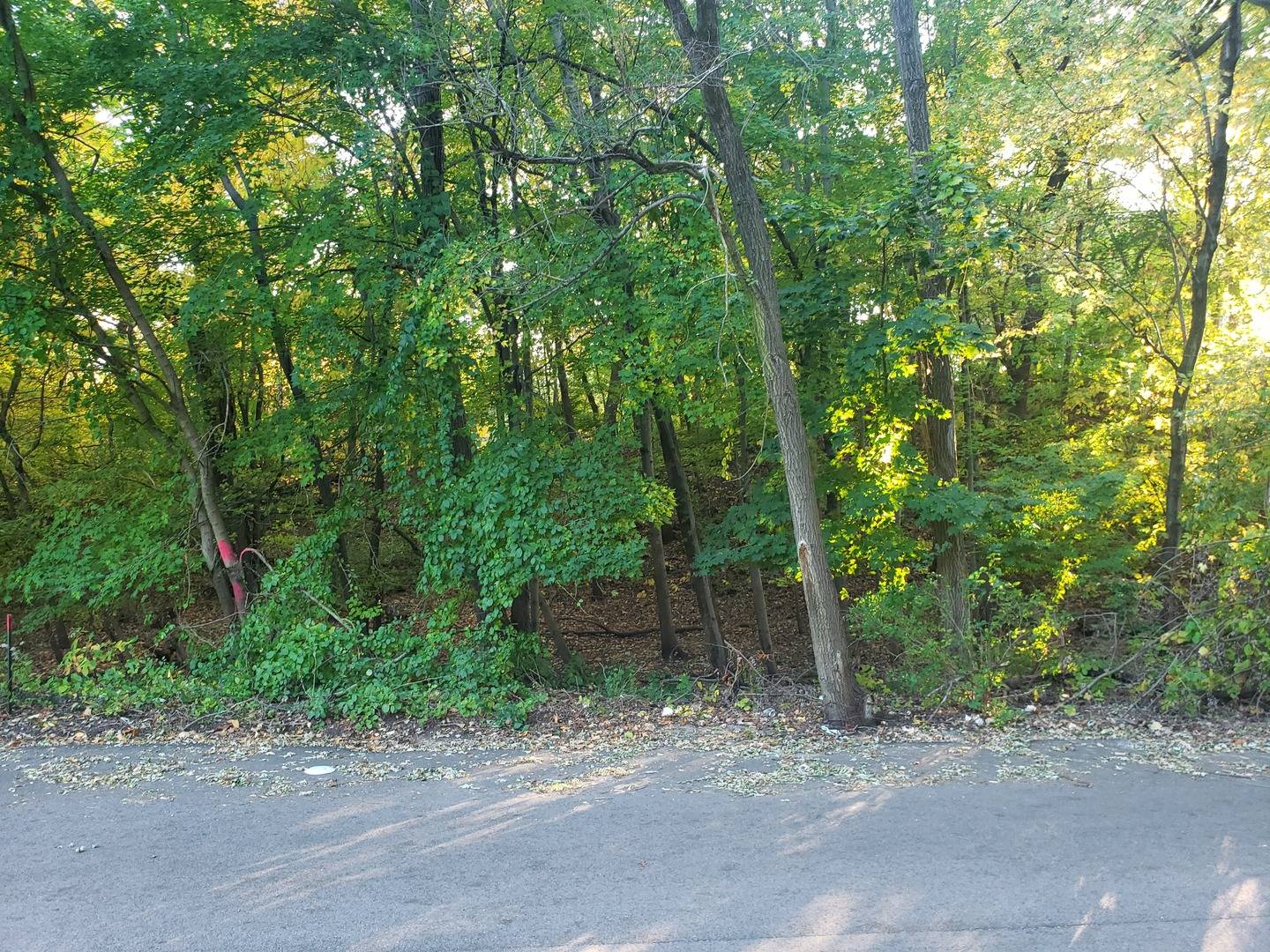 7321 Ash AVE, Gary, IN 46403