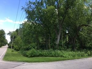 4601 Winchester AVE, Lisle, IL 60532