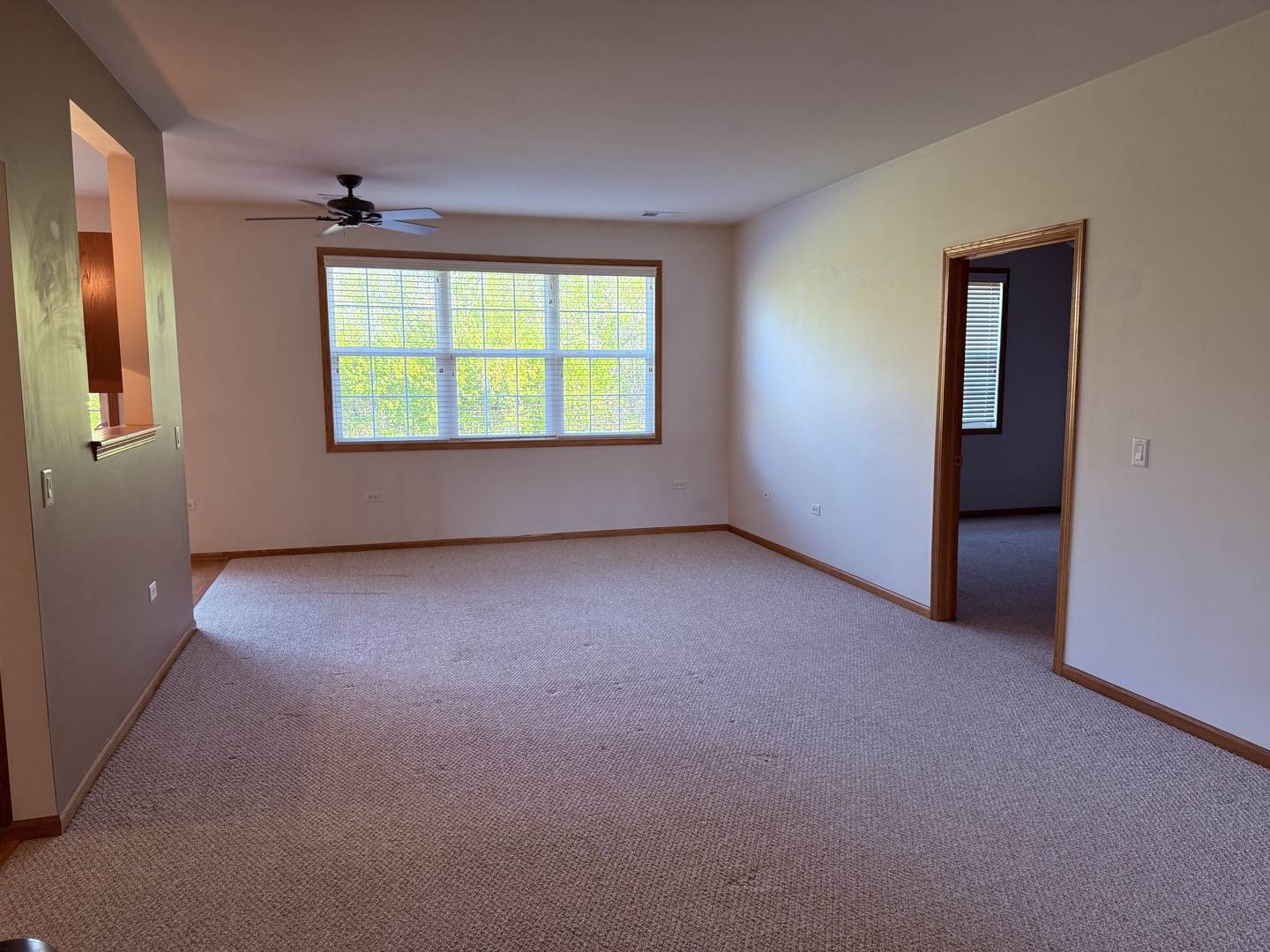 17009 Mendota DR #17009, Lockport, IL 60441