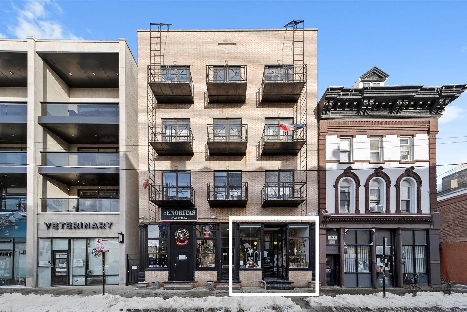 1102 W 18TH ST, Chicago, IL 60608