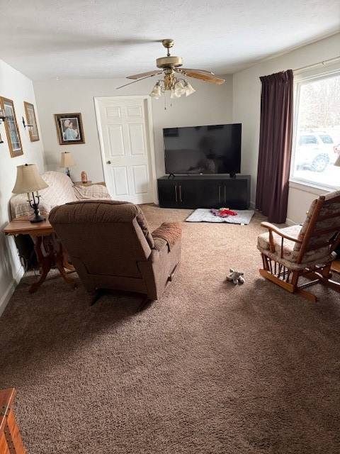 210 W South ST, Sheffield, IL 61361