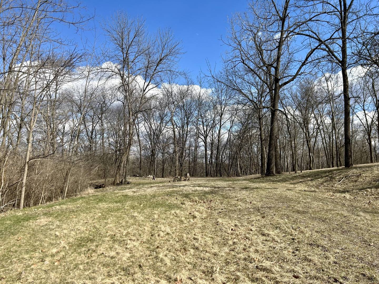 Lot 5 Thirty Foot Trail RD, Oglesby, IL 61348