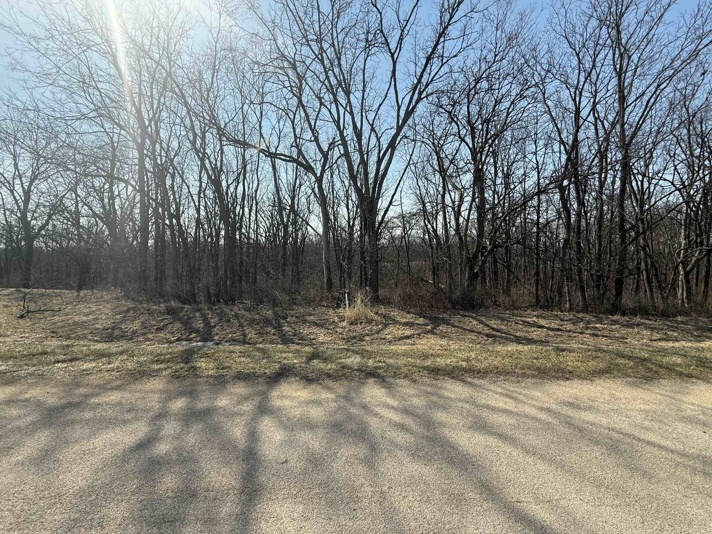 9623 Deerfield LN, Lena, IL 61048