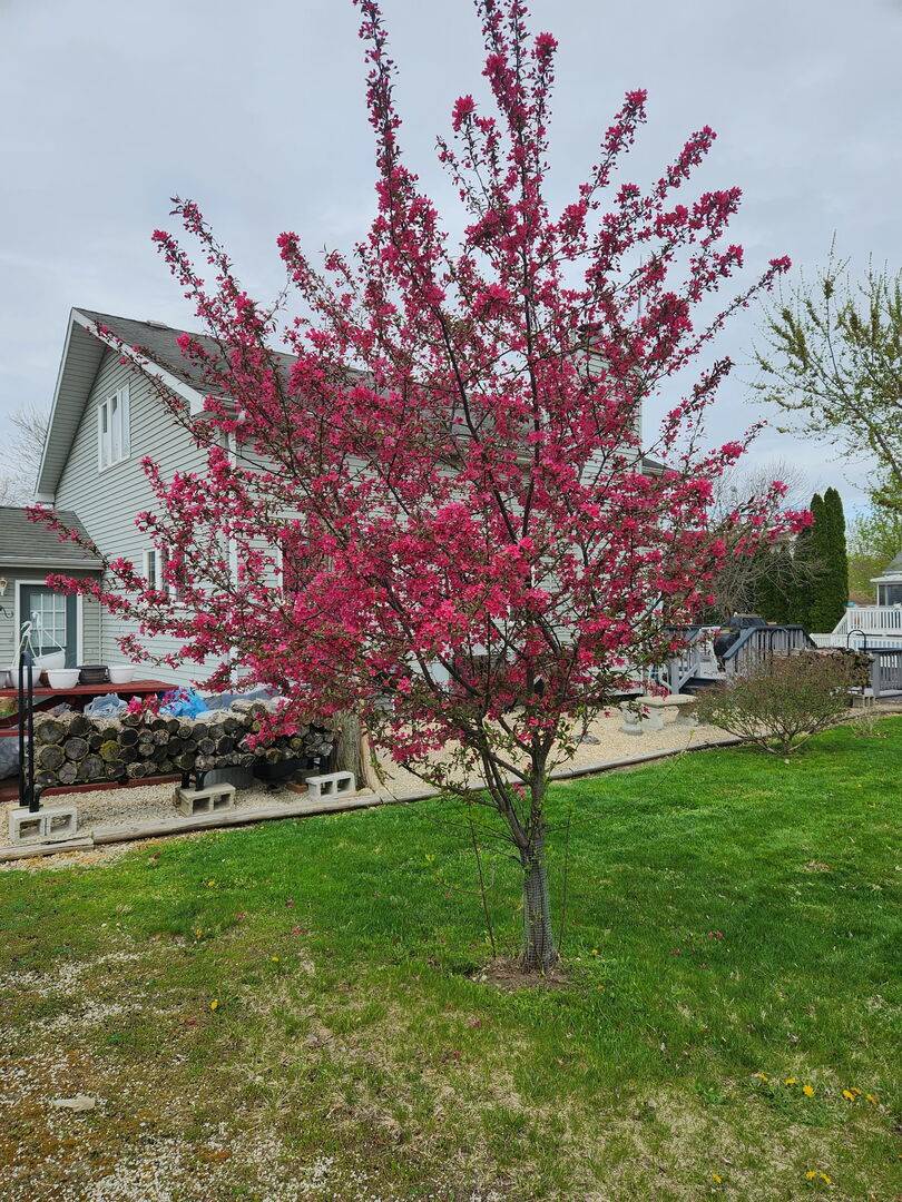 109 Largemouth LN, Wilmington, IL 60481