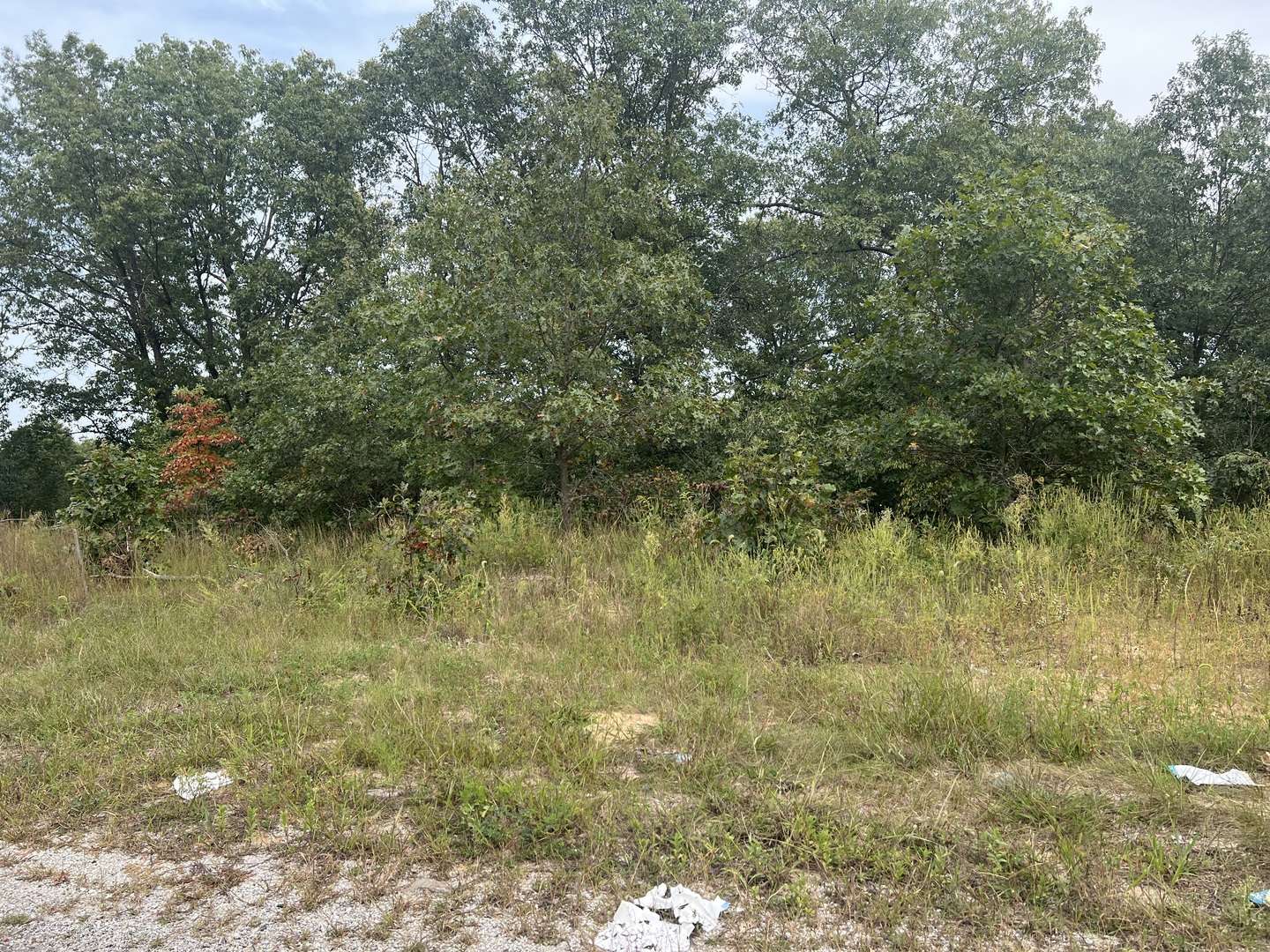 0001 Green Acres ST, Pembroke Twp, IL 60958