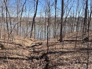 Lot 244 Parrish Ridge LN, Goreville, IL 62939