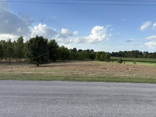 000 Lavern RD, Desoto, IL 62924