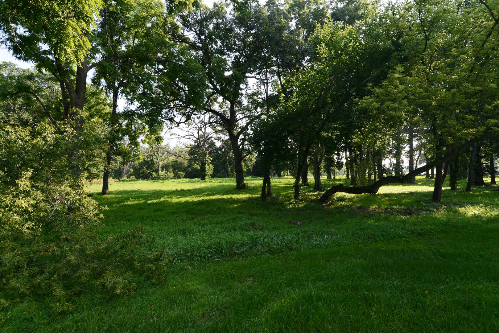 Lot 1 Royal Fox DR, Wayne, IL 60184