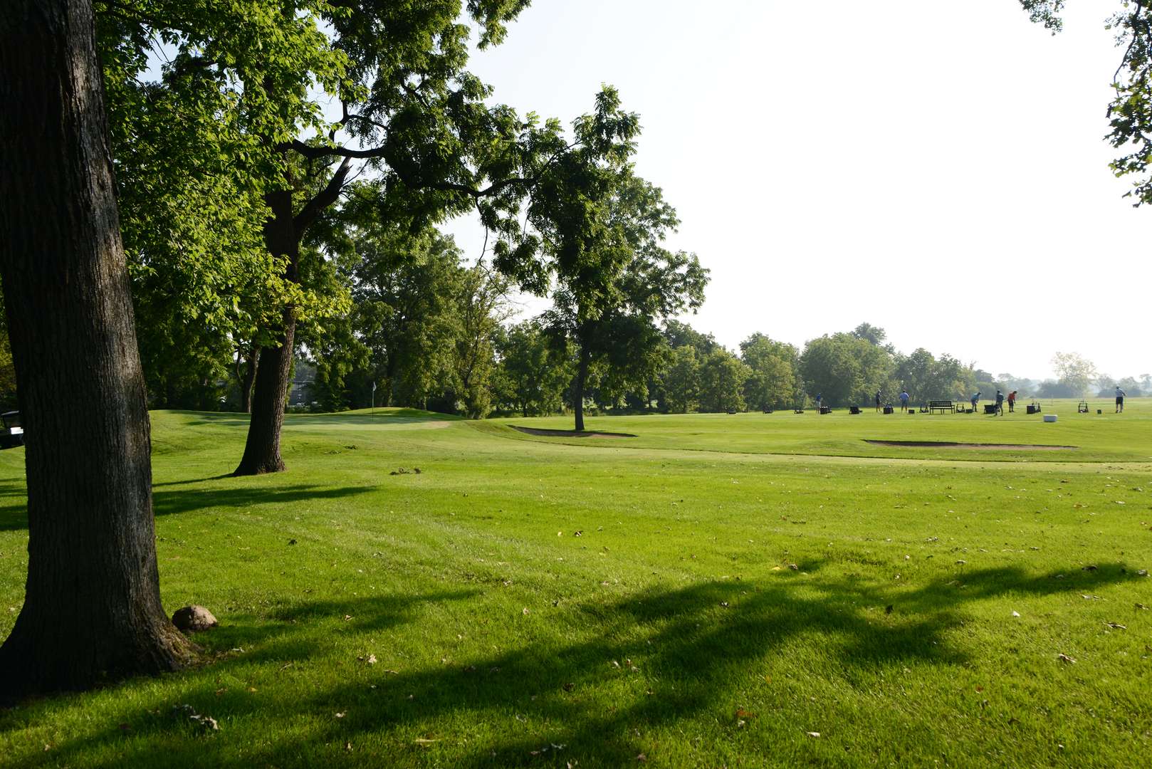 Lot 1 Royal Fox DR, Wayne, IL 60184