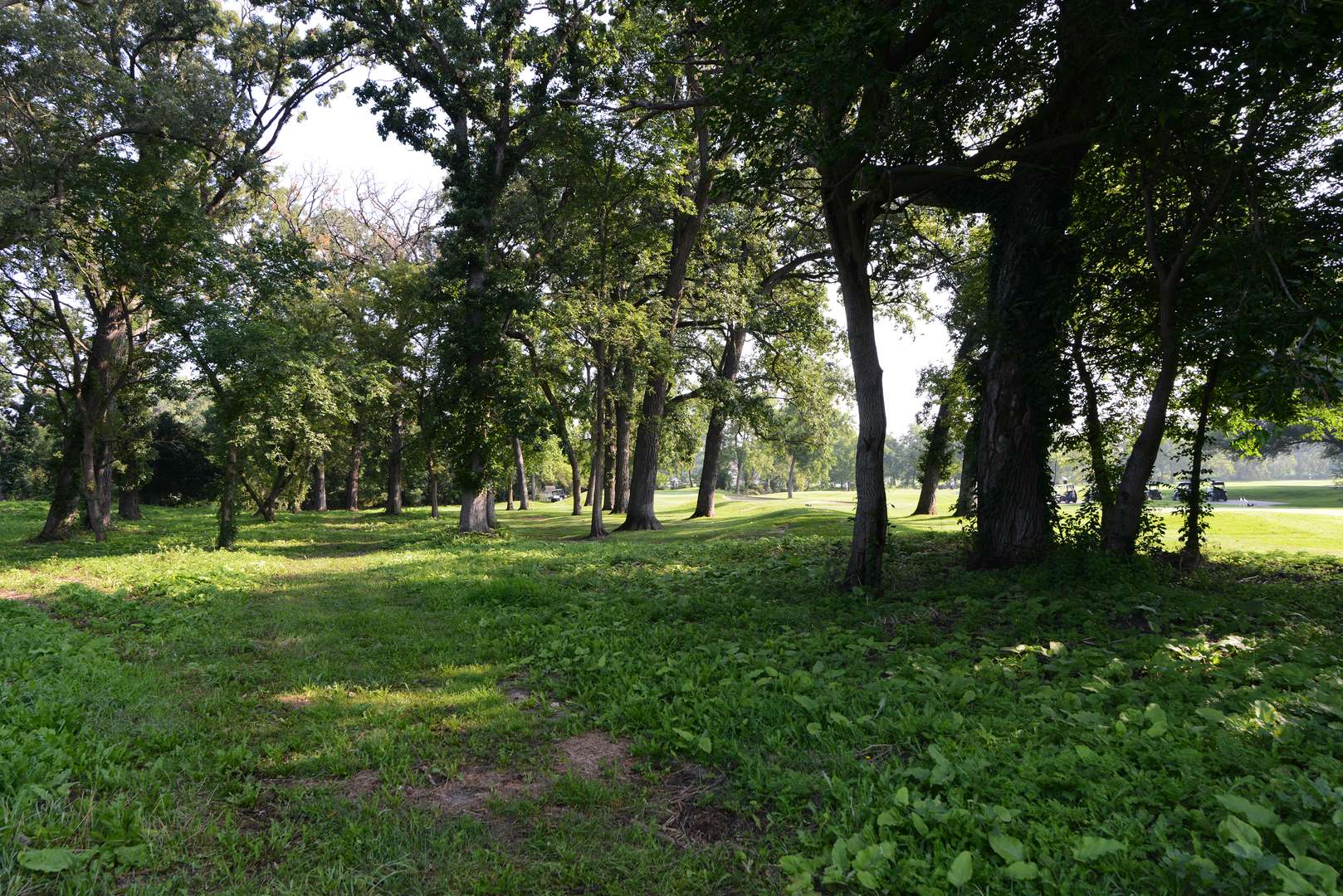 Lot 1 Royal Fox DR, Wayne, IL 60184