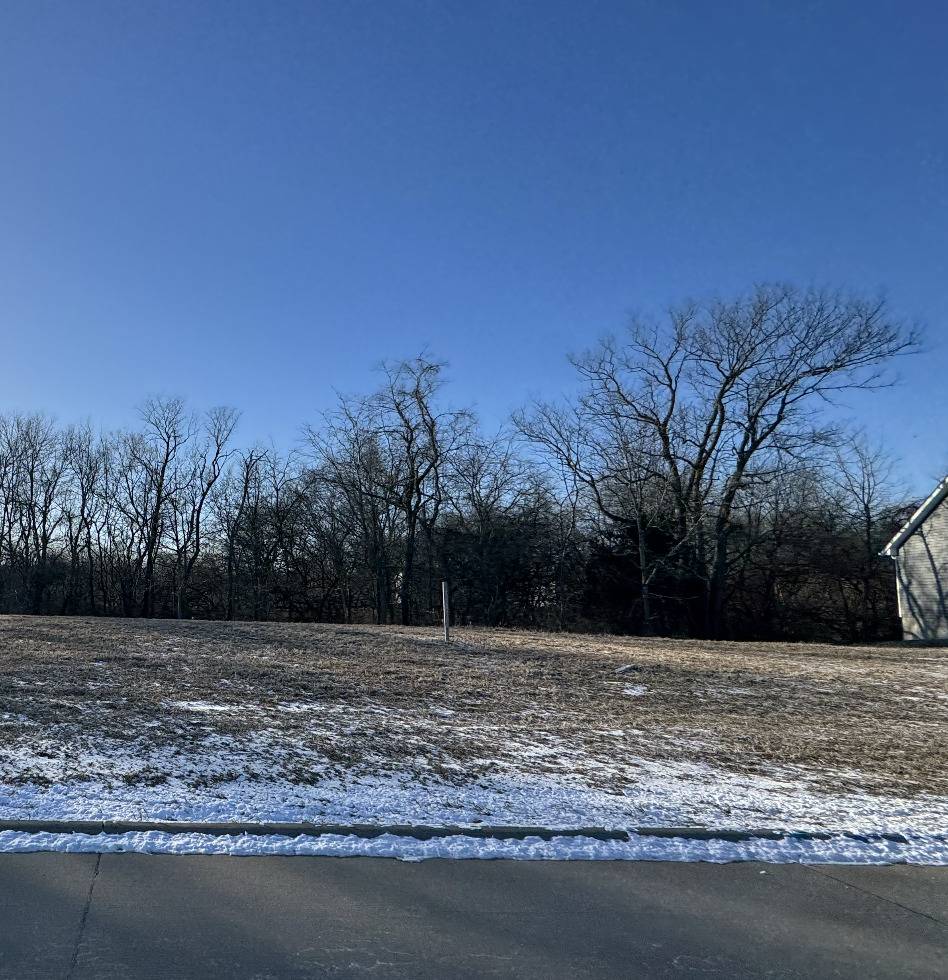 296 Mason DR, Riverdale, IA 52722
