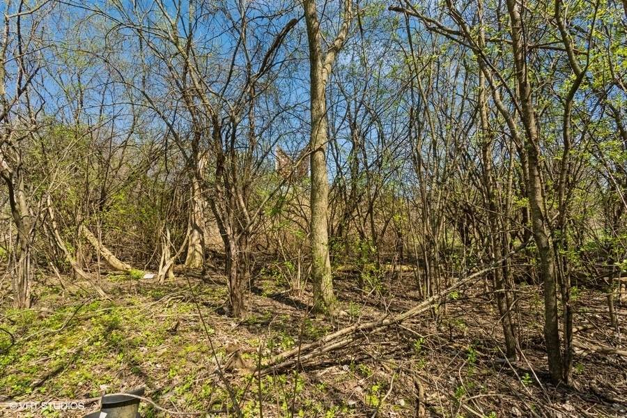 1630 Myrtle Park ST, Roselle, IL 60172
