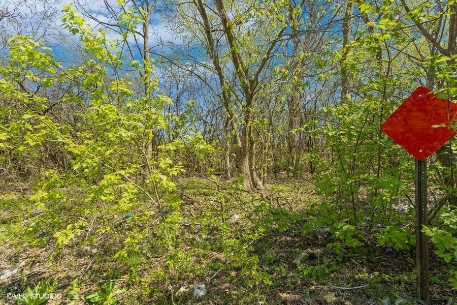 1630 Myrtle Park ST, Roselle, IL 60172