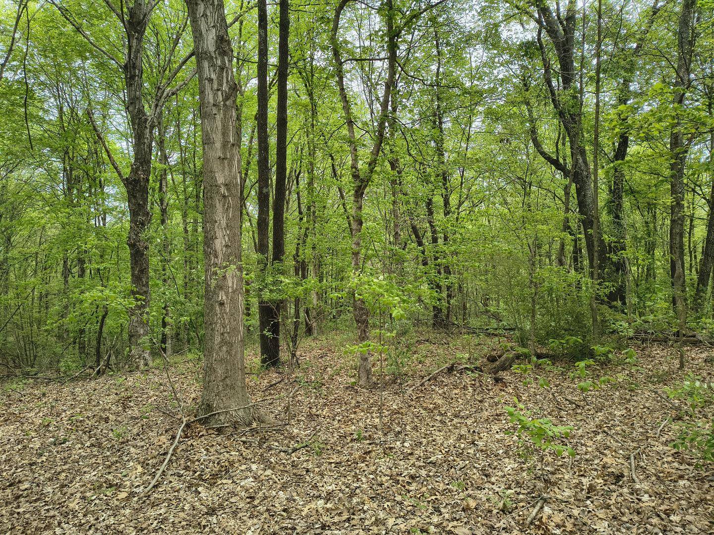 1875 Pleasant Woods CIR, Carbondale, IL 62902