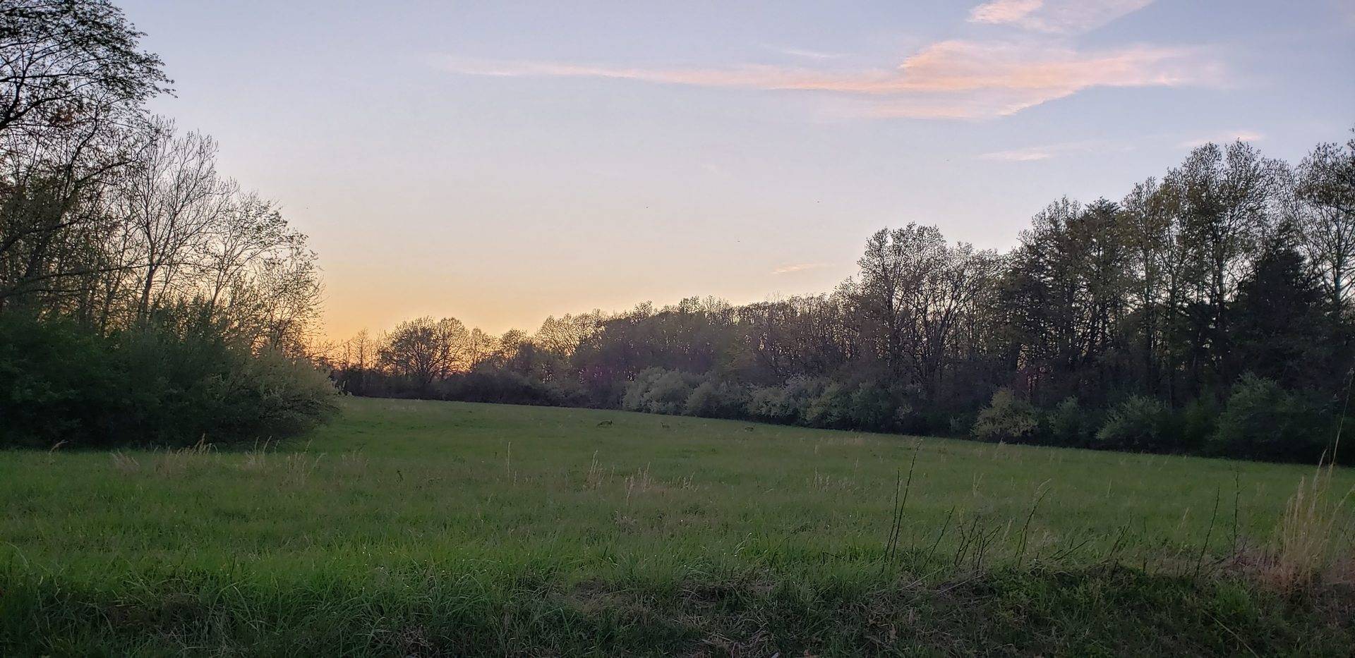 17225 N Akin Black Top RD N, Benton, IL 62812