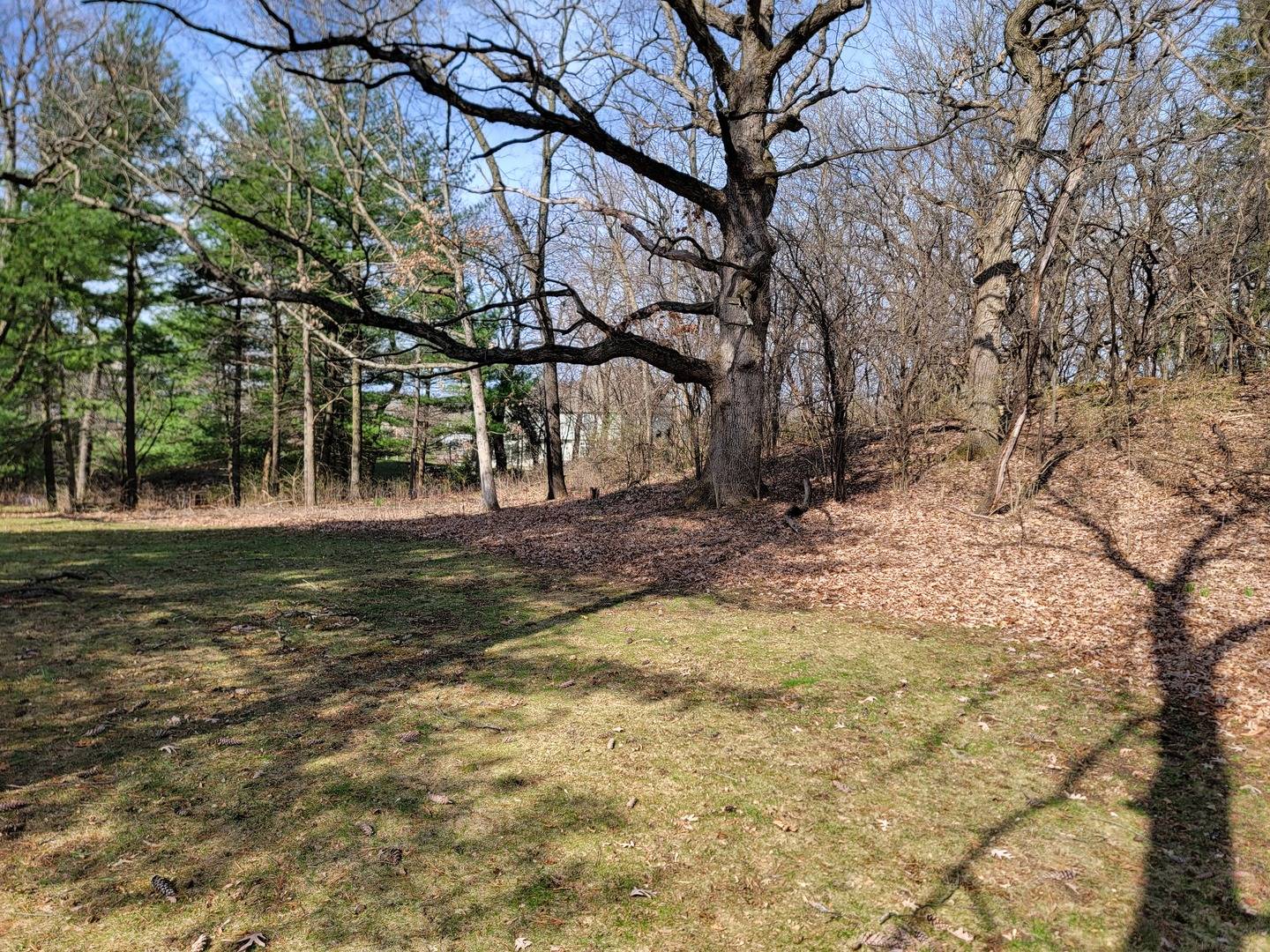 0000 Newbold RD, Cary, IL 60013