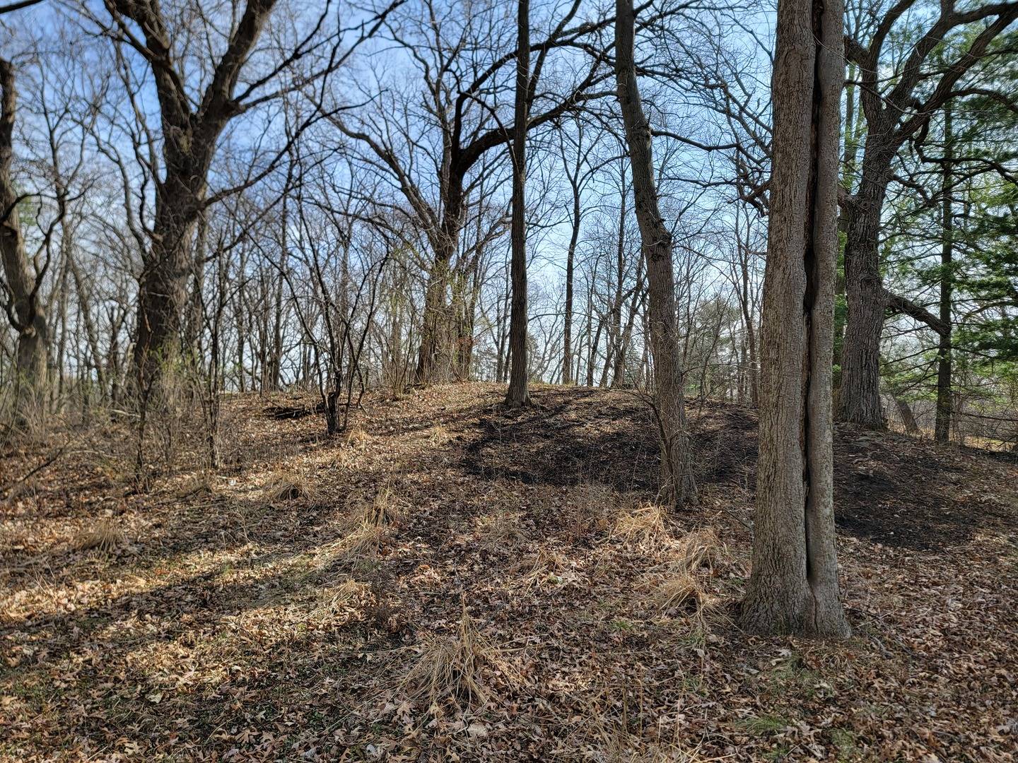 0000 Newbold RD, Cary, IL 60013