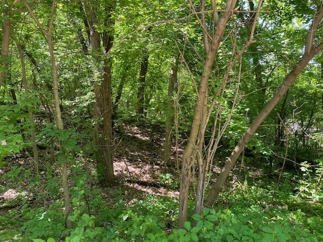 Lots 11 & 12 Ravine DR, Spring Grove, IL 60081