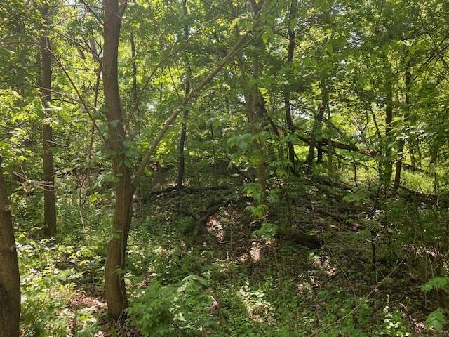 Lots 11 & 12 Ravine DR, Spring Grove, IL 60081
