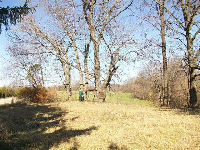 605 N Blackjack RD, Galena, IL 61036