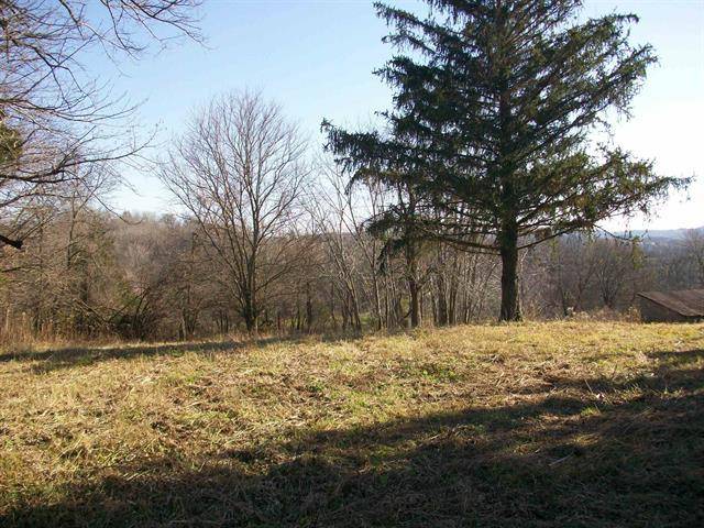 605 N Blackjack RD, Galena, IL 61036