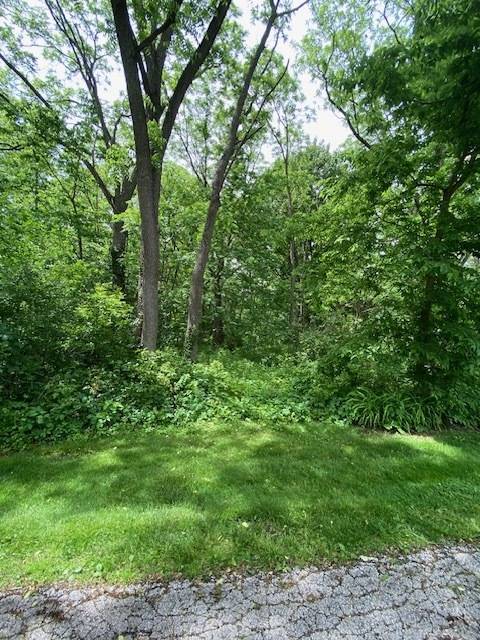 Lot 65,66,&64 Main ST, Spring Grove, IL 60081