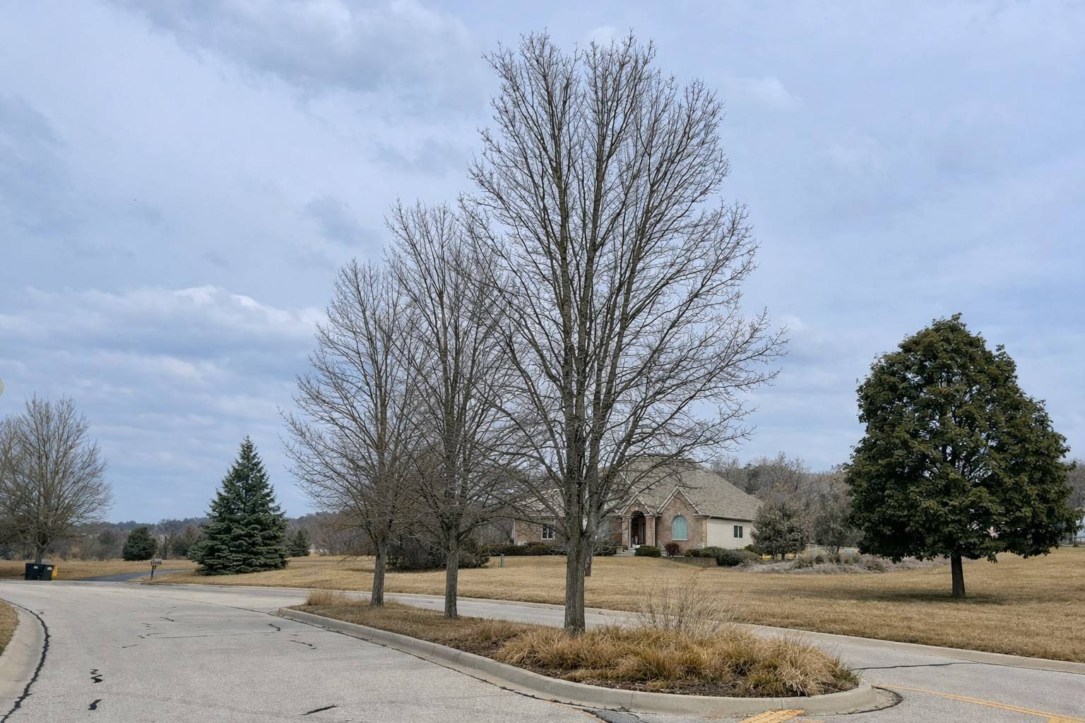1848 Red Oak LN, Spring Grove, IL 60081