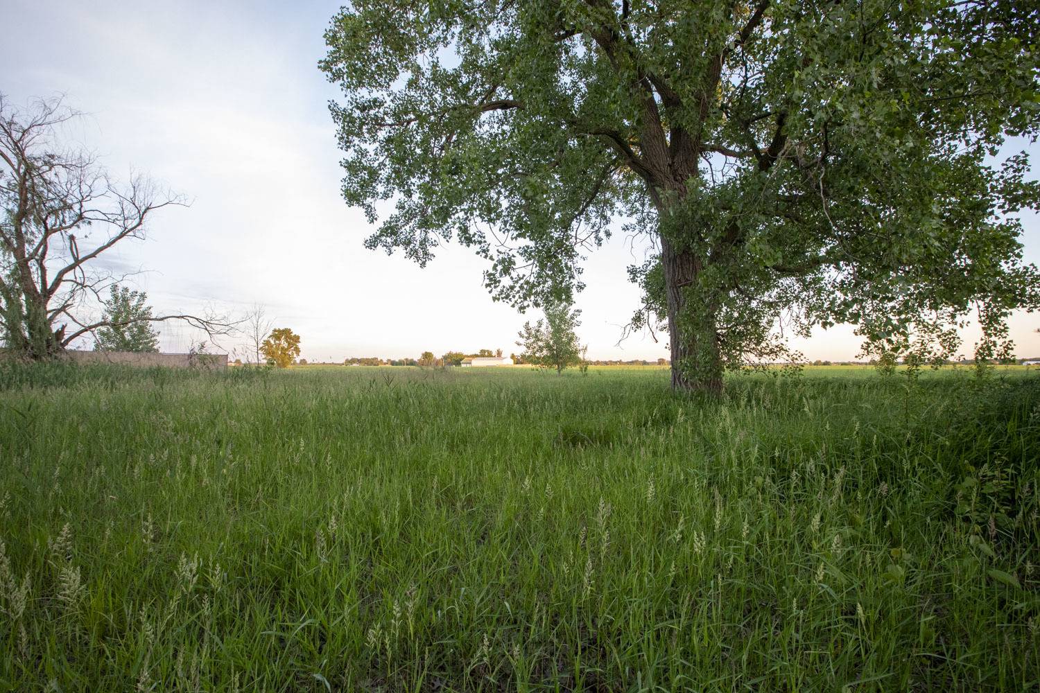 50W485 Il Route 64, Maple Park, IL 60151