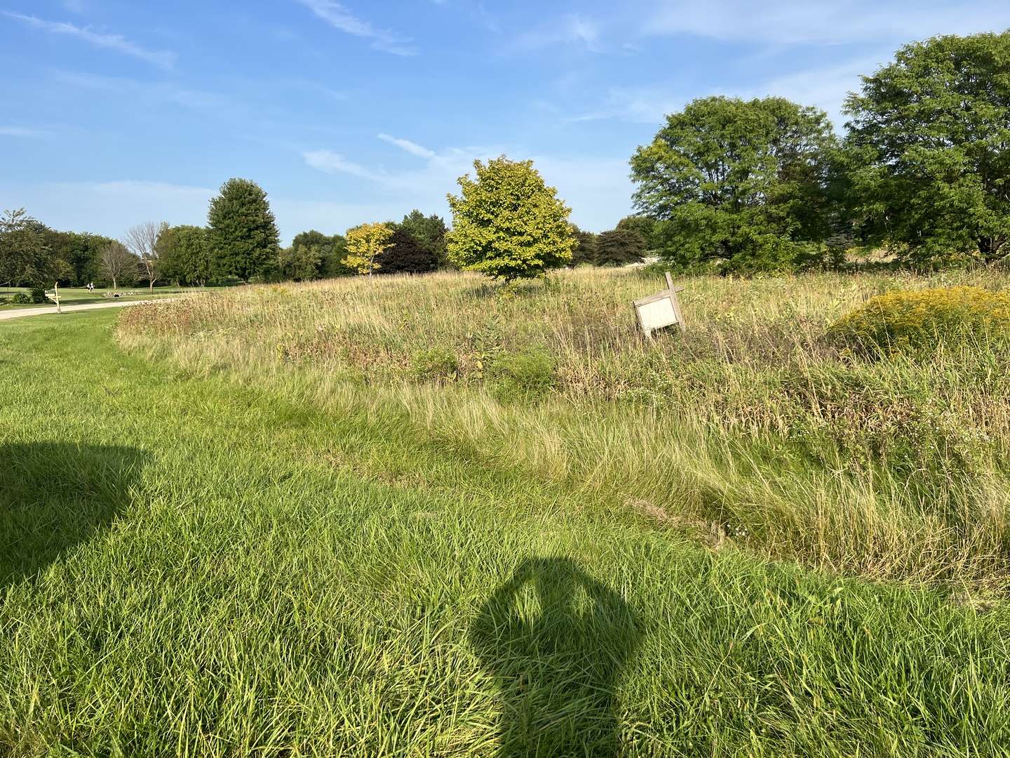 Lot 33 Burlington Hills Shepard and Hillview LN, Hampshire, IL 60140
