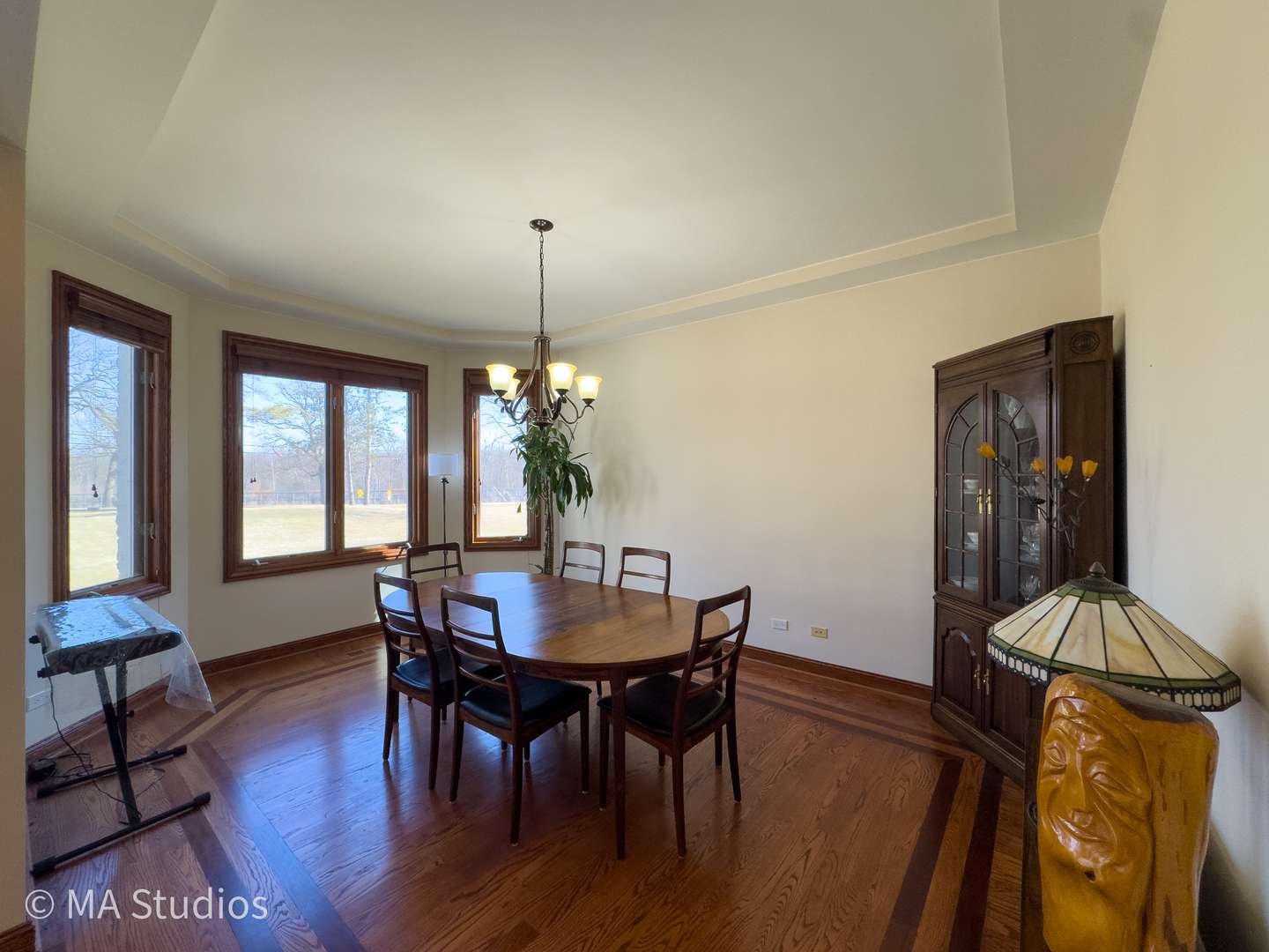 9030 Elm AVE, Burr Ridge, IL 60527
