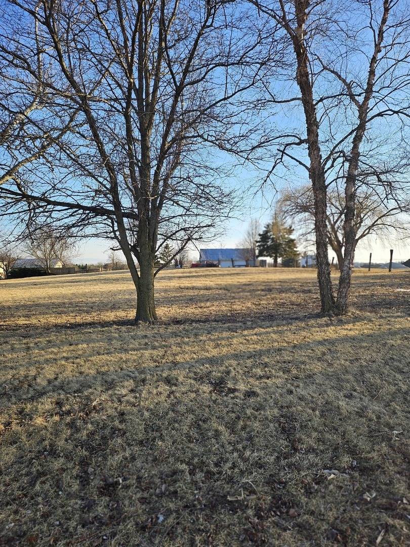 8251 W Pauling RD, Monee, IL 60449