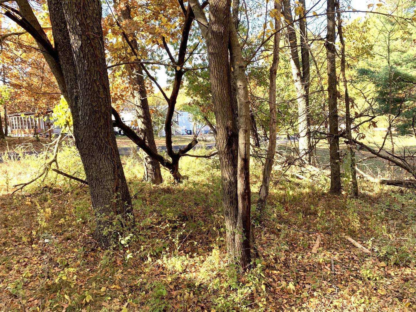 5/334 Woodhaven, Sublette, IL 61367
