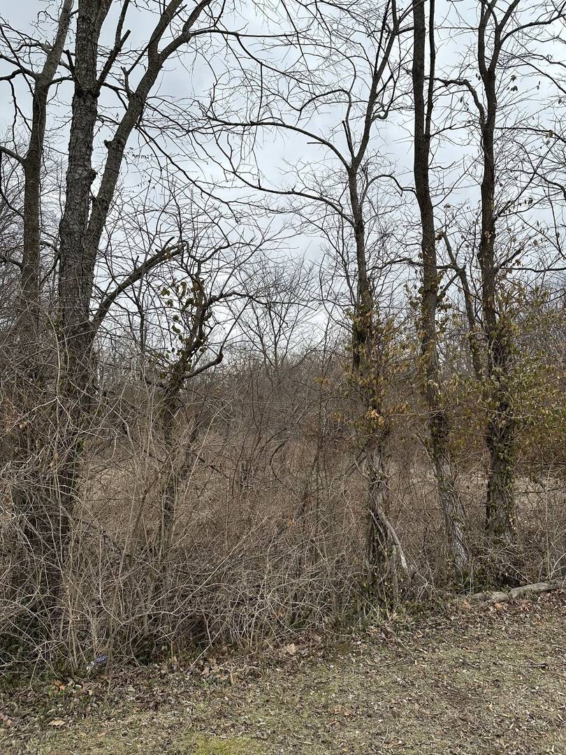 Lot 1 Pecan RD, Duquoin, IL 62832
