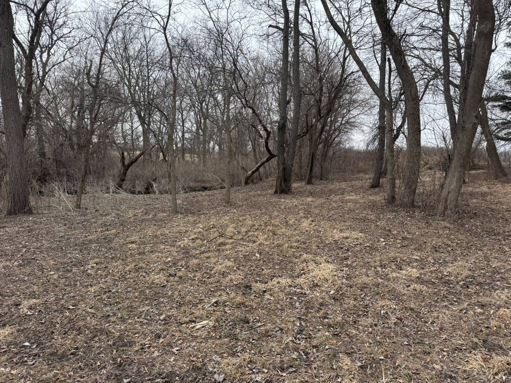 0 Shaw RD, Compton, IL 61318