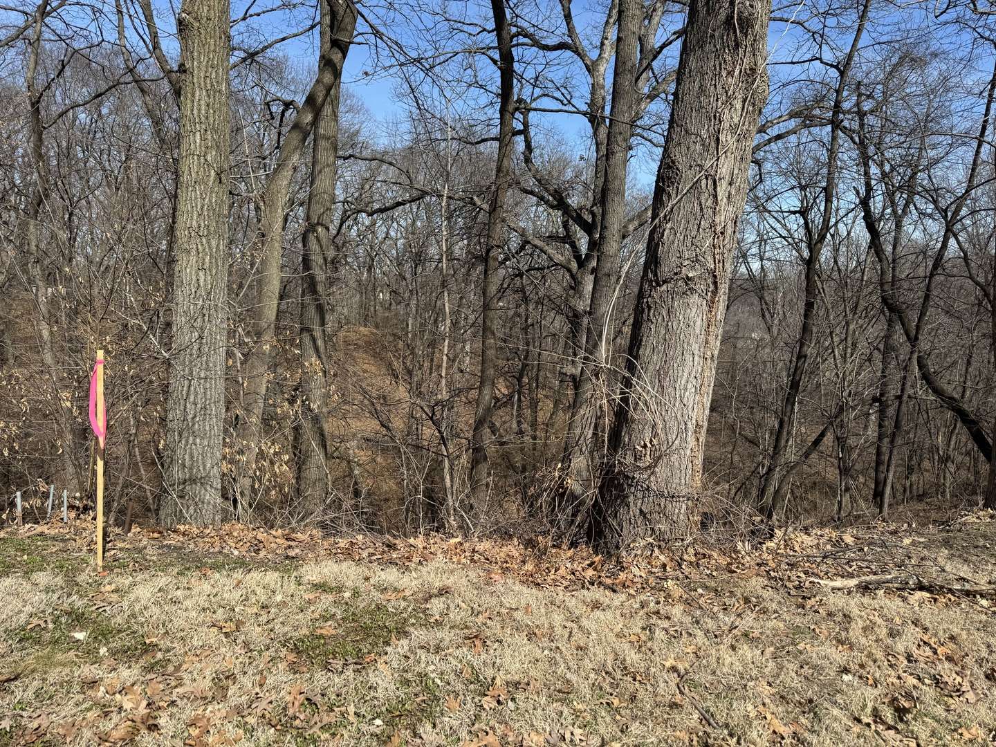 LOT 04 40TH AVE CT, Rock Island, IL 61201