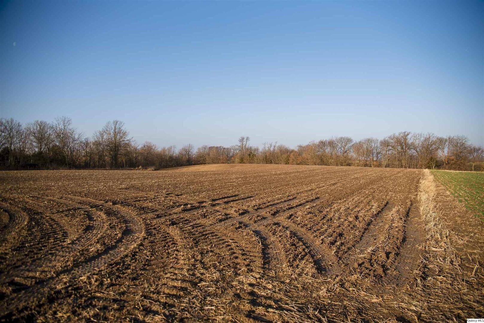 SE SEC 23 Keene Township, Loraine, IL 62349