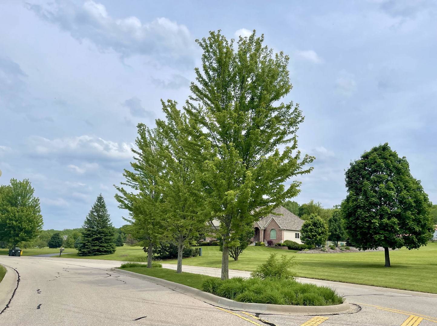 7388 English Oak LN, Spring Grove, IL 60081