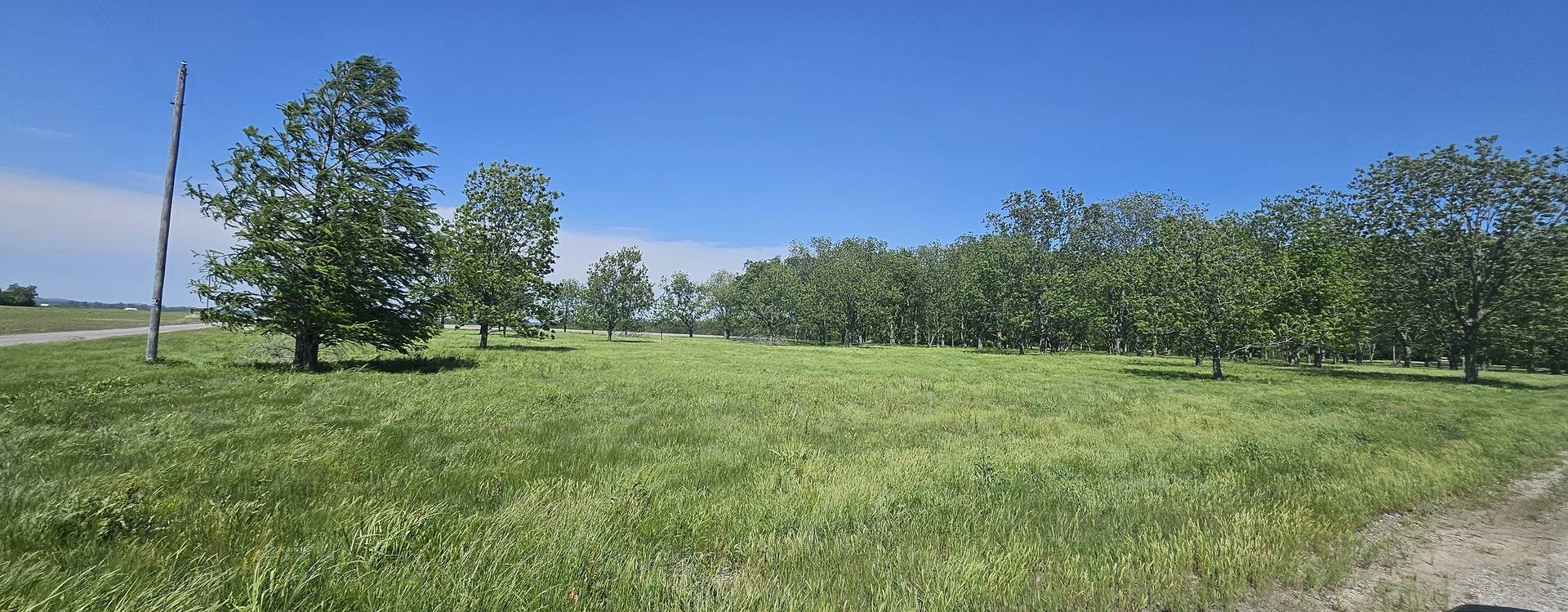 0 Gerard RD, Mcclure, IL 62957