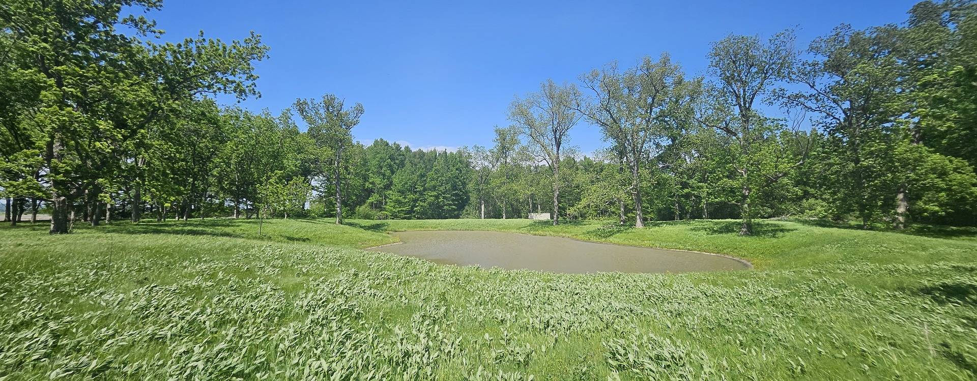 0 Gerard RD, Mcclure, IL 62957