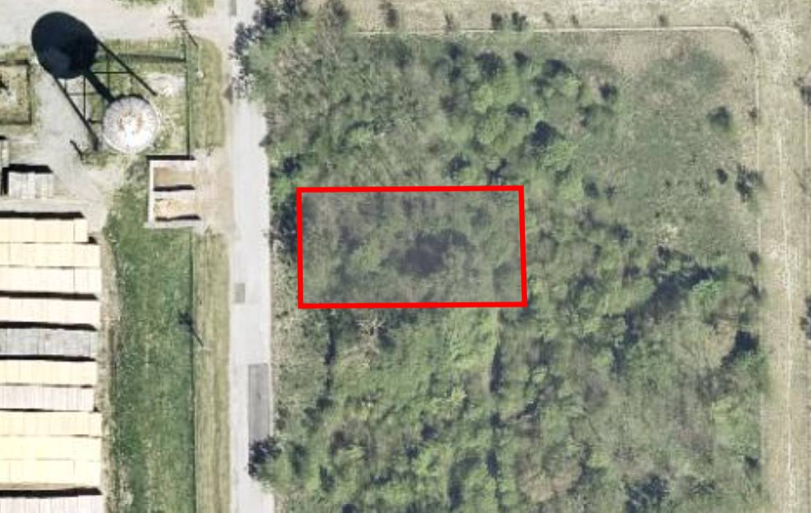 15313 S Wallace AVE, South Holland, IL 60473