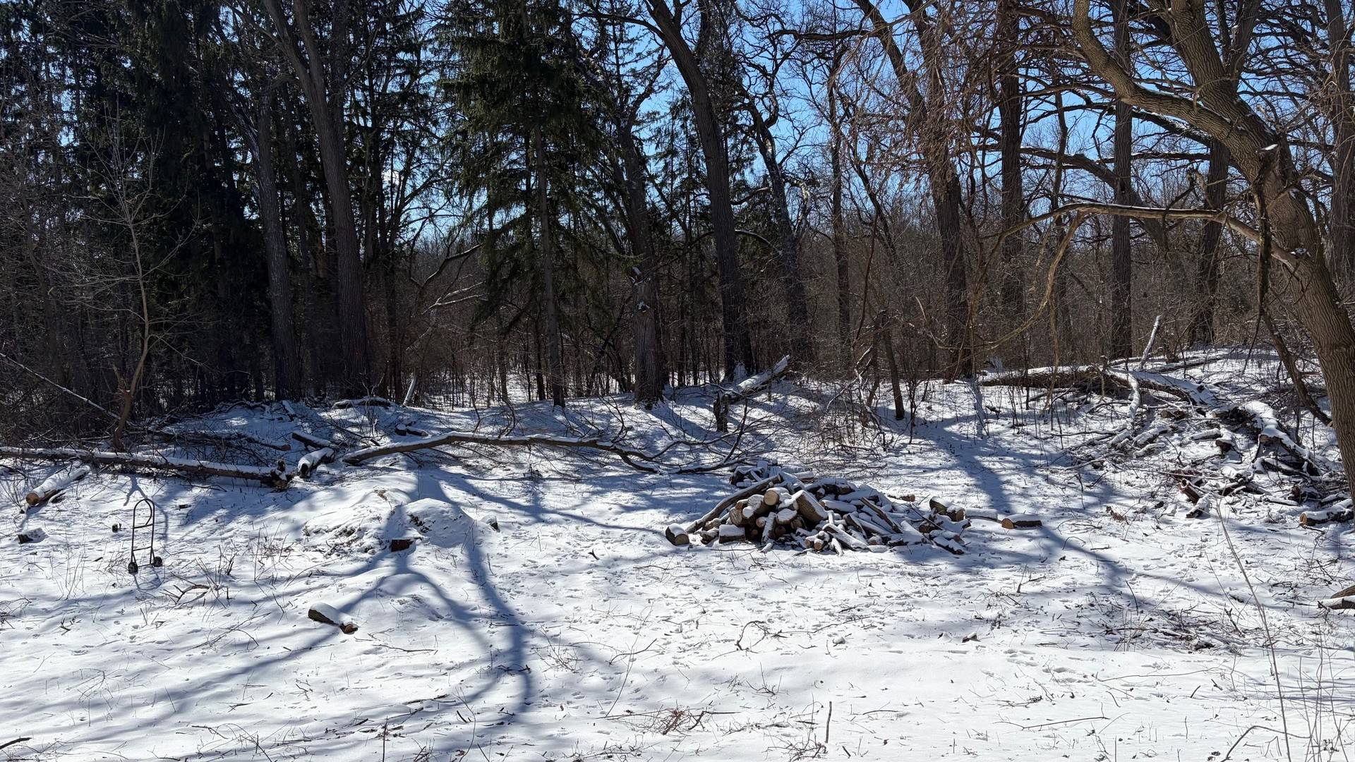 Lot 1 Asbury AVE, Fox River Grove, IL 60021