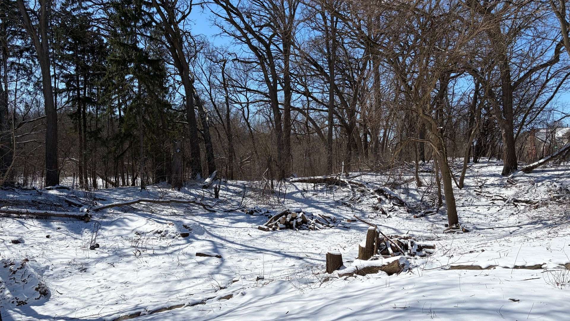 Lot 1 Asbury AVE, Fox River Grove, IL 60021