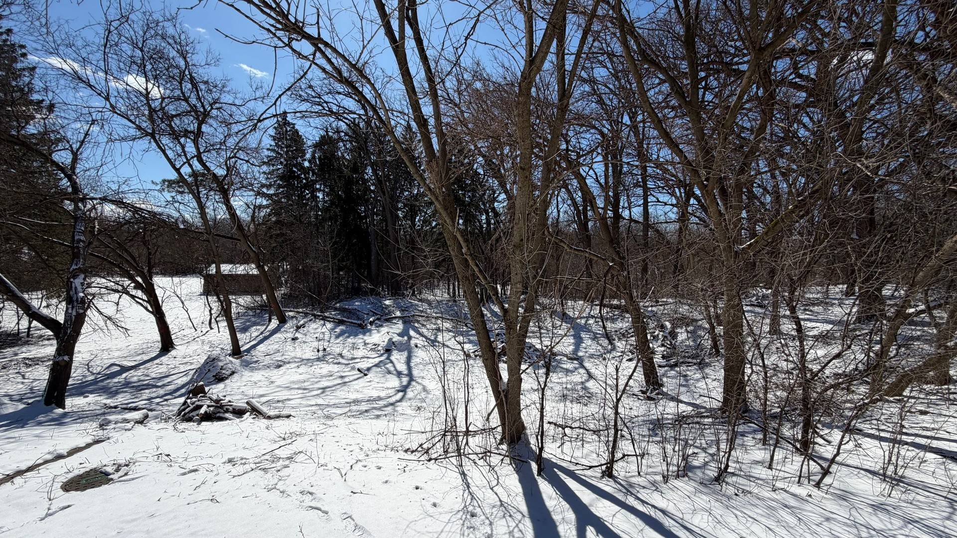 Lot 1 Asbury AVE, Fox River Grove, IL 60021