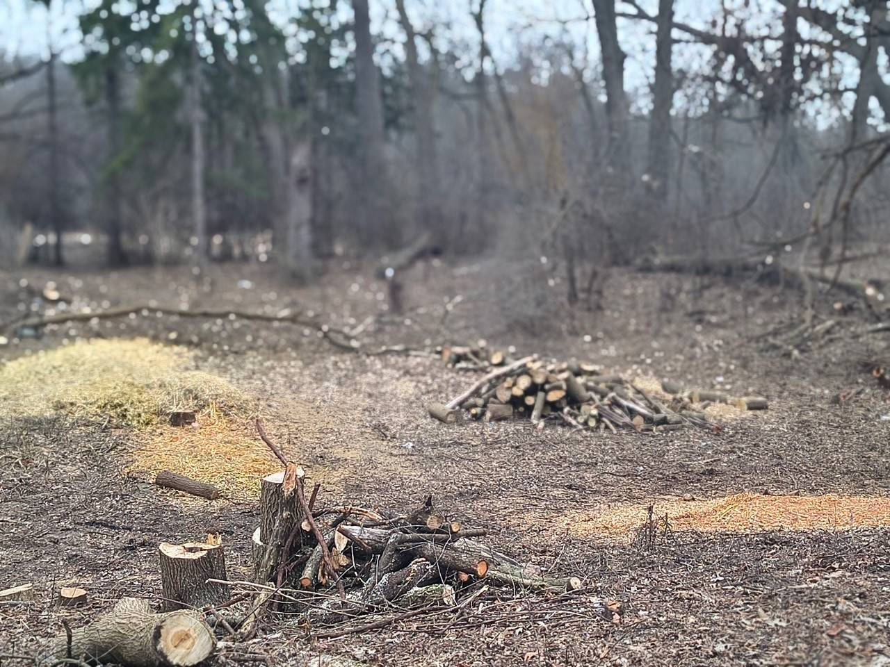 LOT 2 Asbury AVE, Fox River Grove, IL 60021