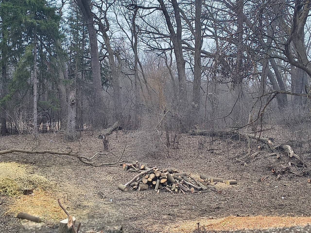 LOT 2 Asbury AVE, Fox River Grove, IL 60021
