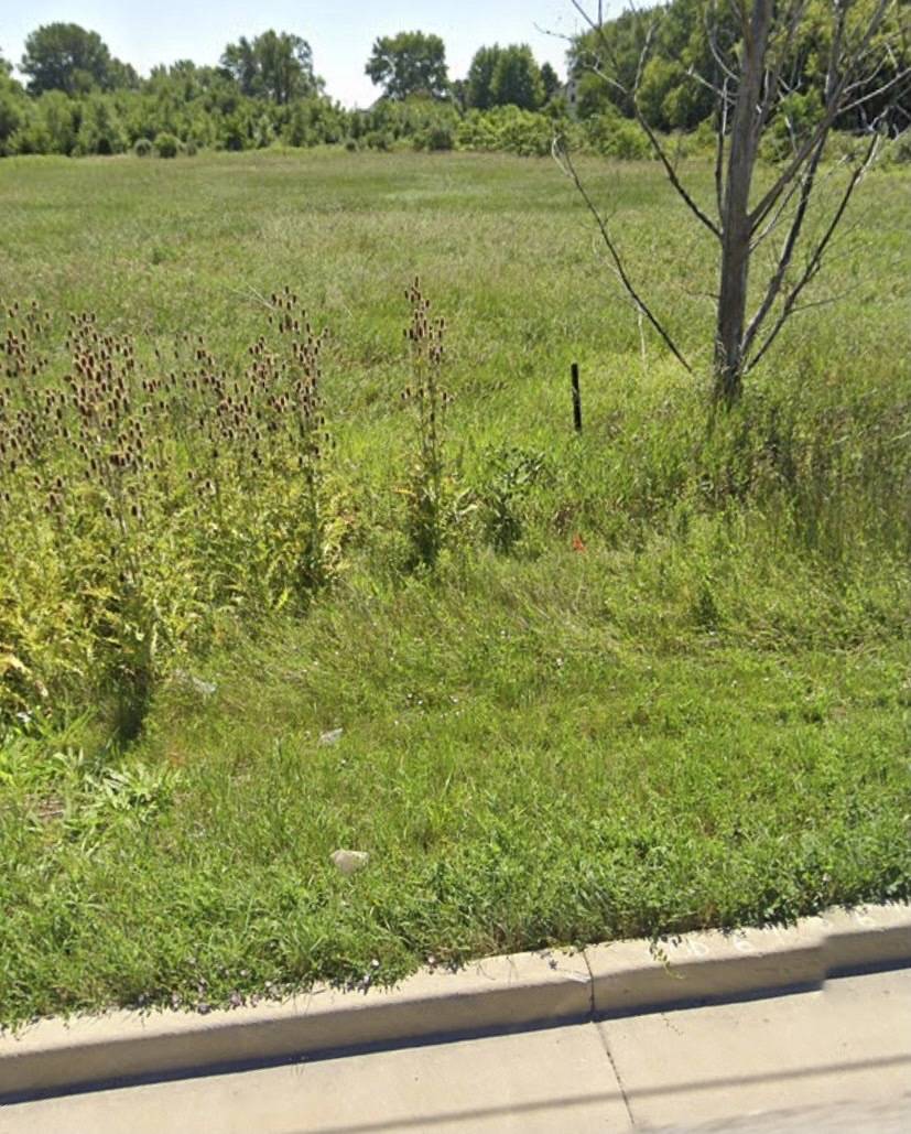 738 Crest AVE, Schaumburg, IL 60193