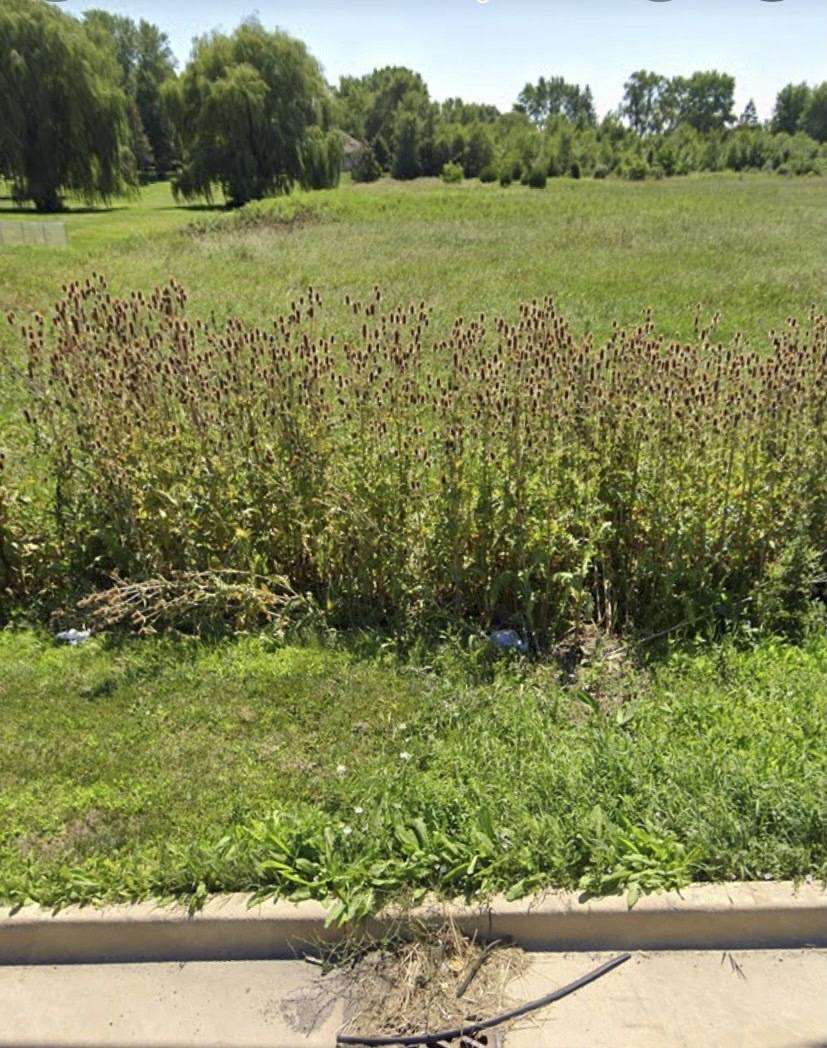 738 Crest AVE, Schaumburg, IL 60193