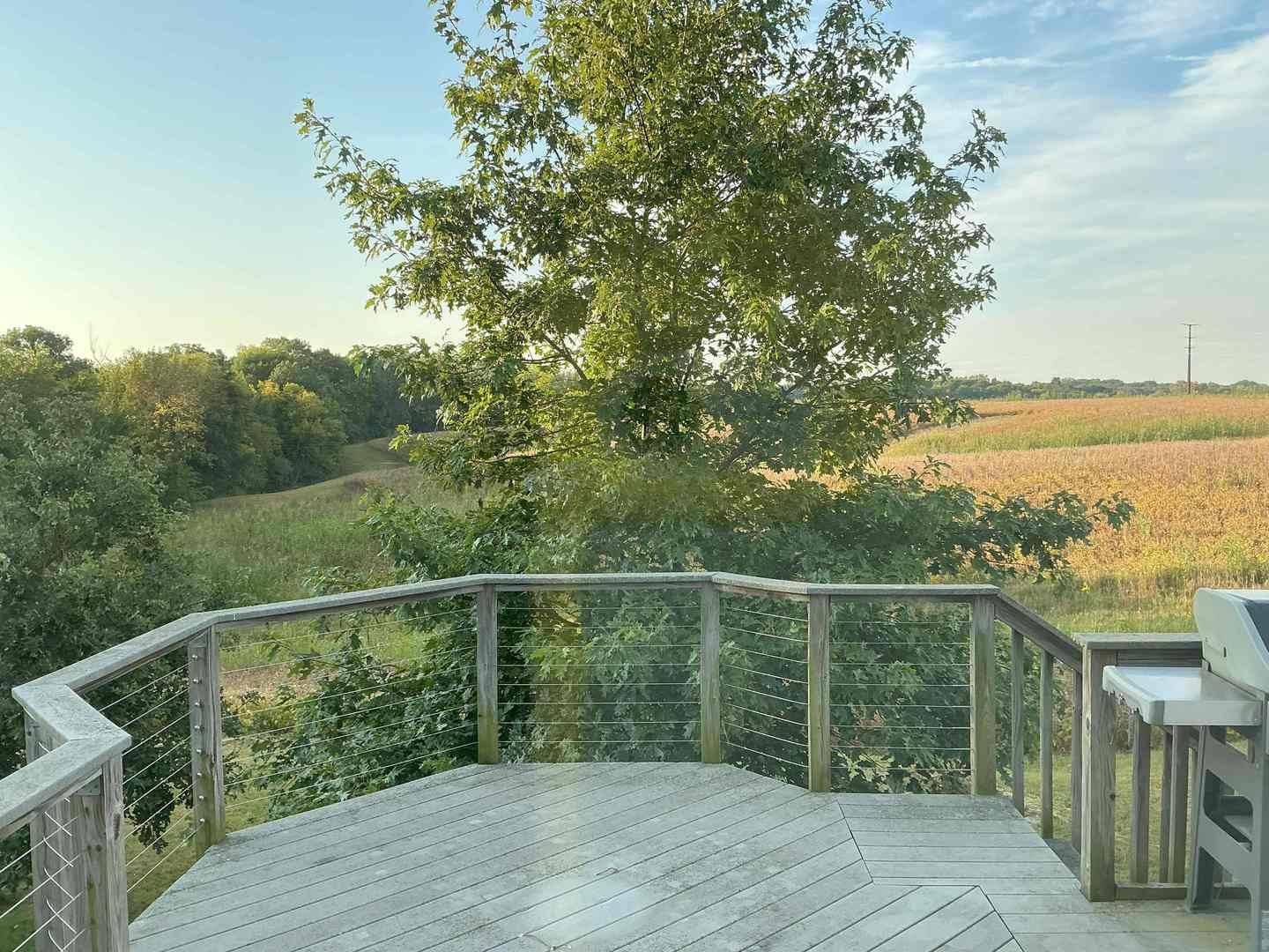 1808 106th AVE W, Milan, IL 61264